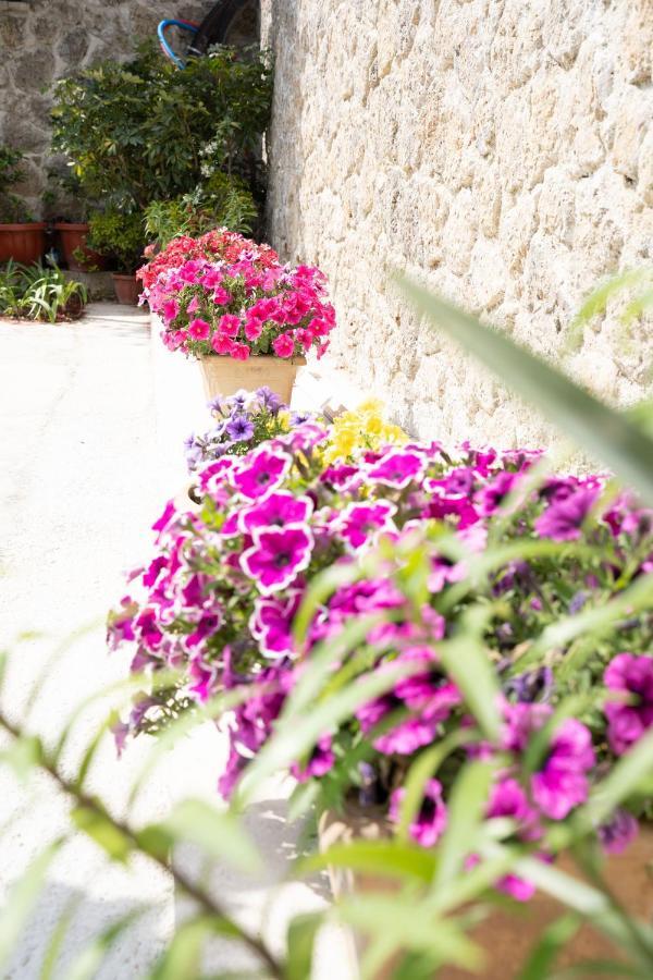 La Bella Vita - Luxury Holiday House Close To Corfu Town Potamós Eksteriør billede